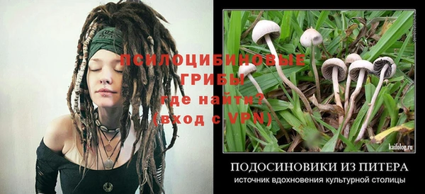 индика Абаза