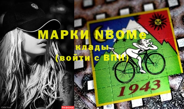 индика Абаза