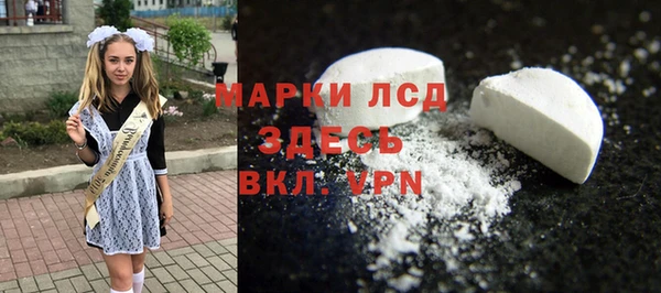 индика Абаза