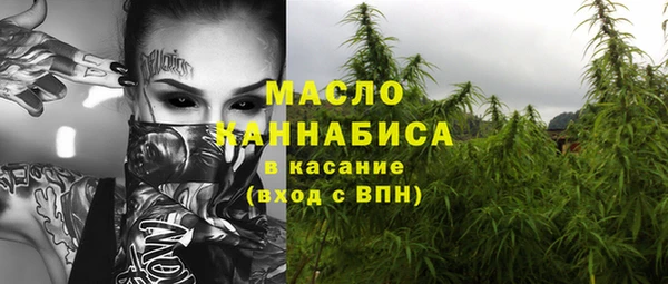 индика Абаза
