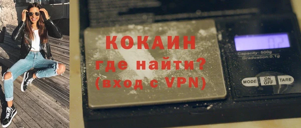 индика Абаза