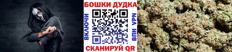 Конопля конопля Куровское