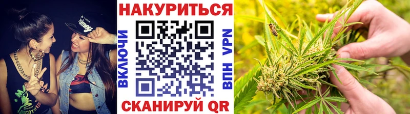 купить   Куровское  МАРИХУАНА MAZAR 